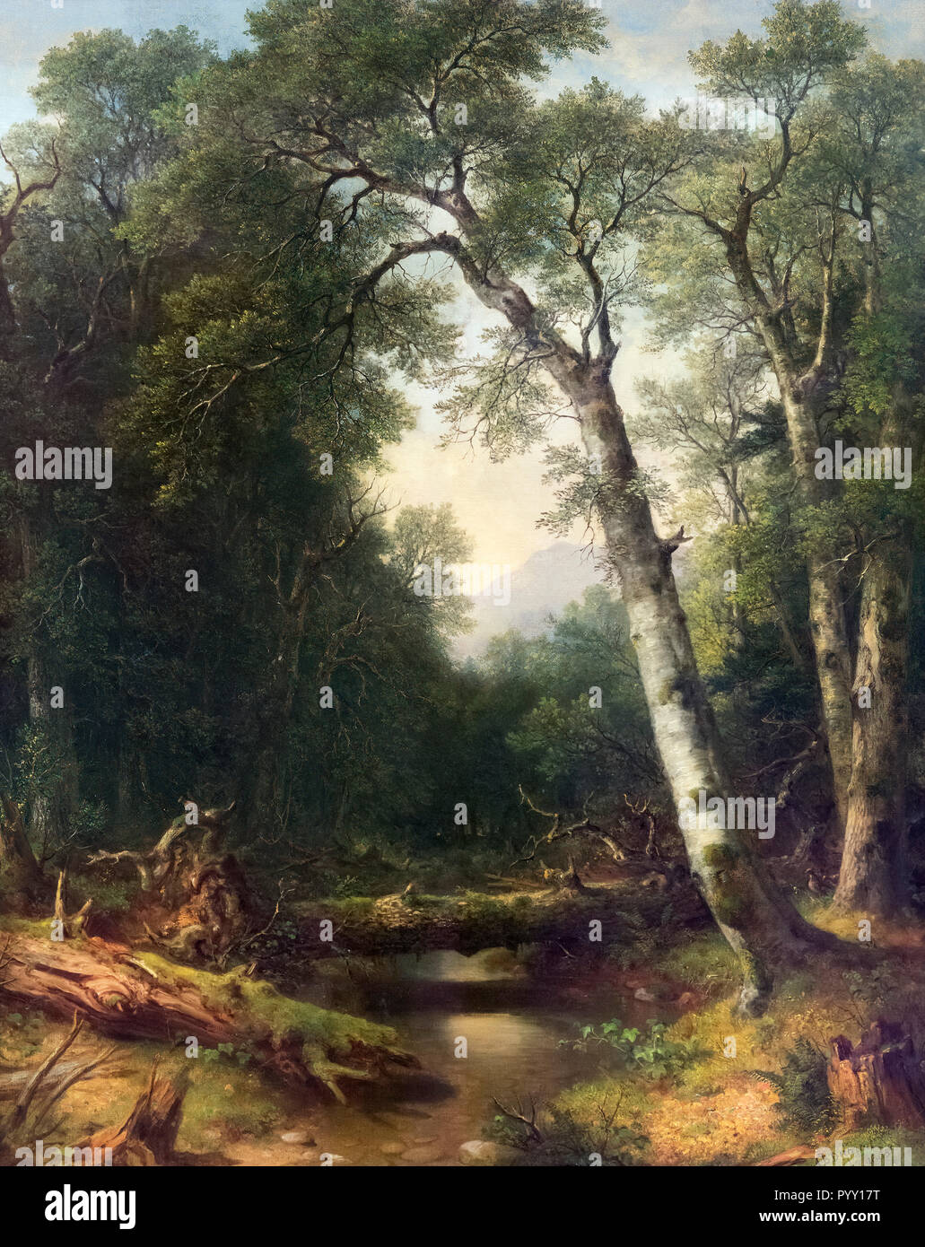 Un ruisseau dans les bois par Asher Brown Durand (1896-1886), huile sur toile, 1865 Banque D'Images