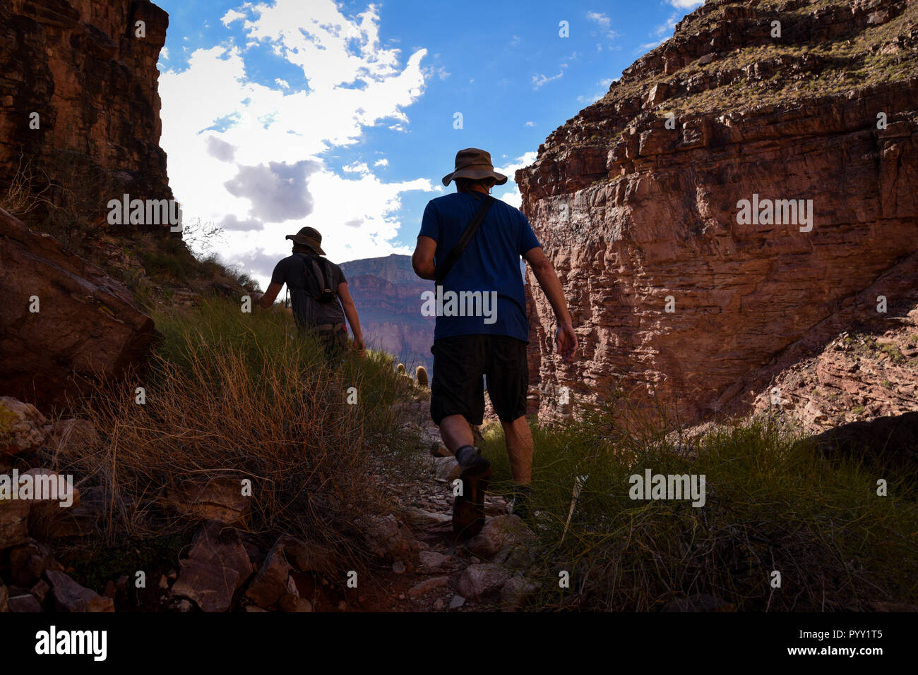 Randonneurs dans les canyons latéraux du Grand Canyon, parc national du Grand Canyon. Banque D'Images