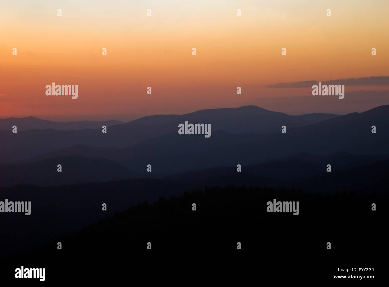 Clingmans Dome, situé dans le parc national des Great Smoky Mountains, offre un cadre pittoresque idéal pour voir le coucher du soleil dans le Tennessee. Banque D'Images