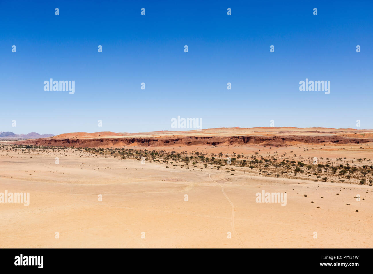 Vue aérienne, dunes pétrifiées, Namib Desert Lodge, Désert du Namib, le Parc National Namib Naukluft, Namibie Banque D'Images