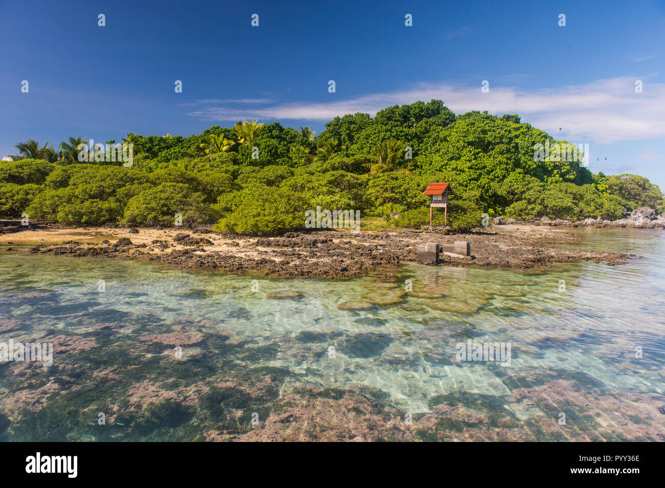Les eaux claires, Tikehau, Tuamotu, Polynésie Française Banque D'Images