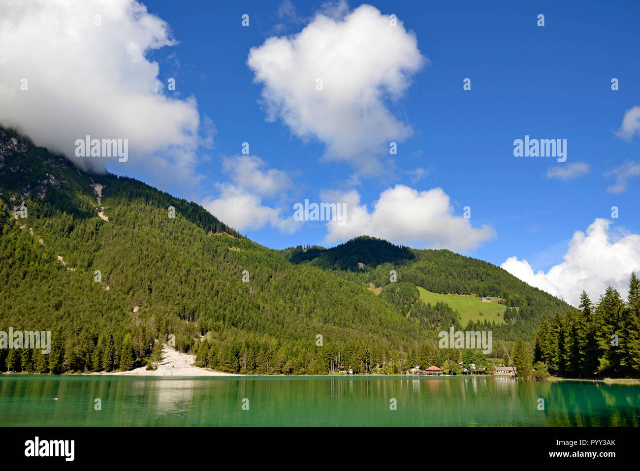 Vue sur le lac vert émeraude de la forêt de montagne et de Dobbiaco, vallée de l'Höhlenstein Murengang, Dobbiaco Banque D'Images