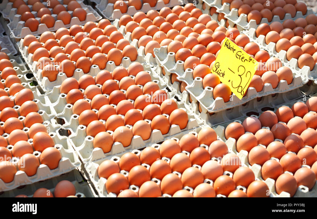 Brown frais oeufs dans les cartons d'œufs avec étiquette de prix at a market stall, Allemagne Banque D'Images