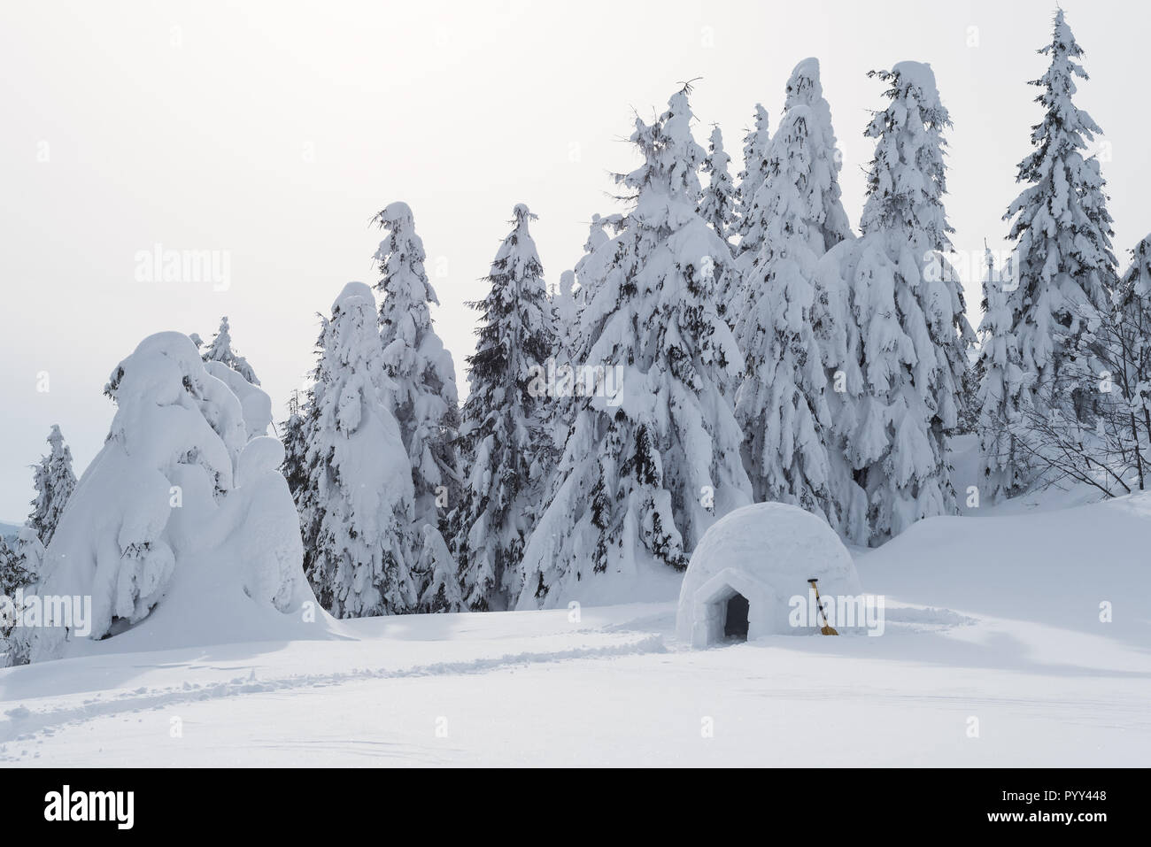 Igloo enneigé en hiver, la forêt de montagne. Camping dans la neige Banque D'Images