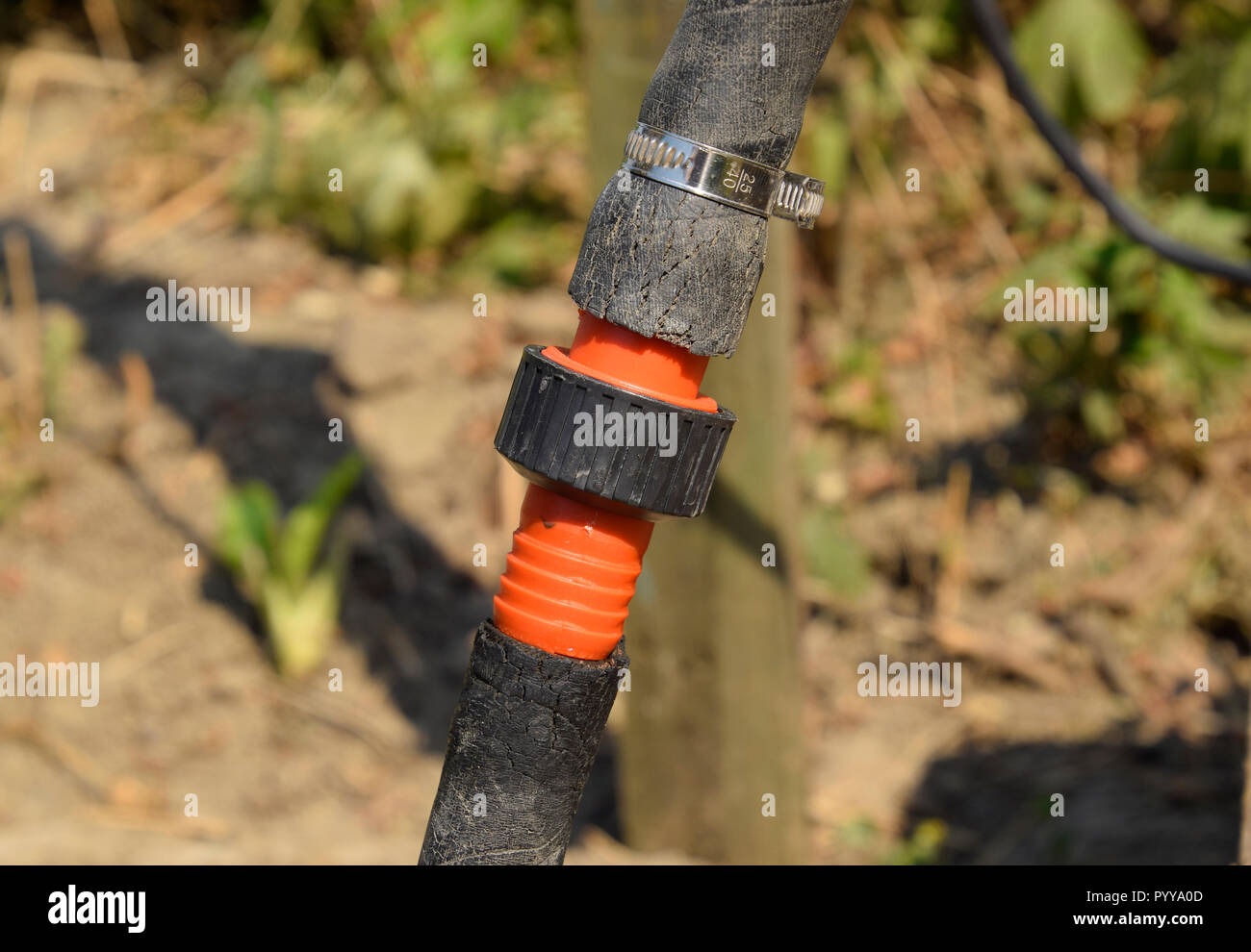 Raccord de tuyau pour l'arrosage du jardin. Arrosage et accessoires Photo  Stock - Alamy
