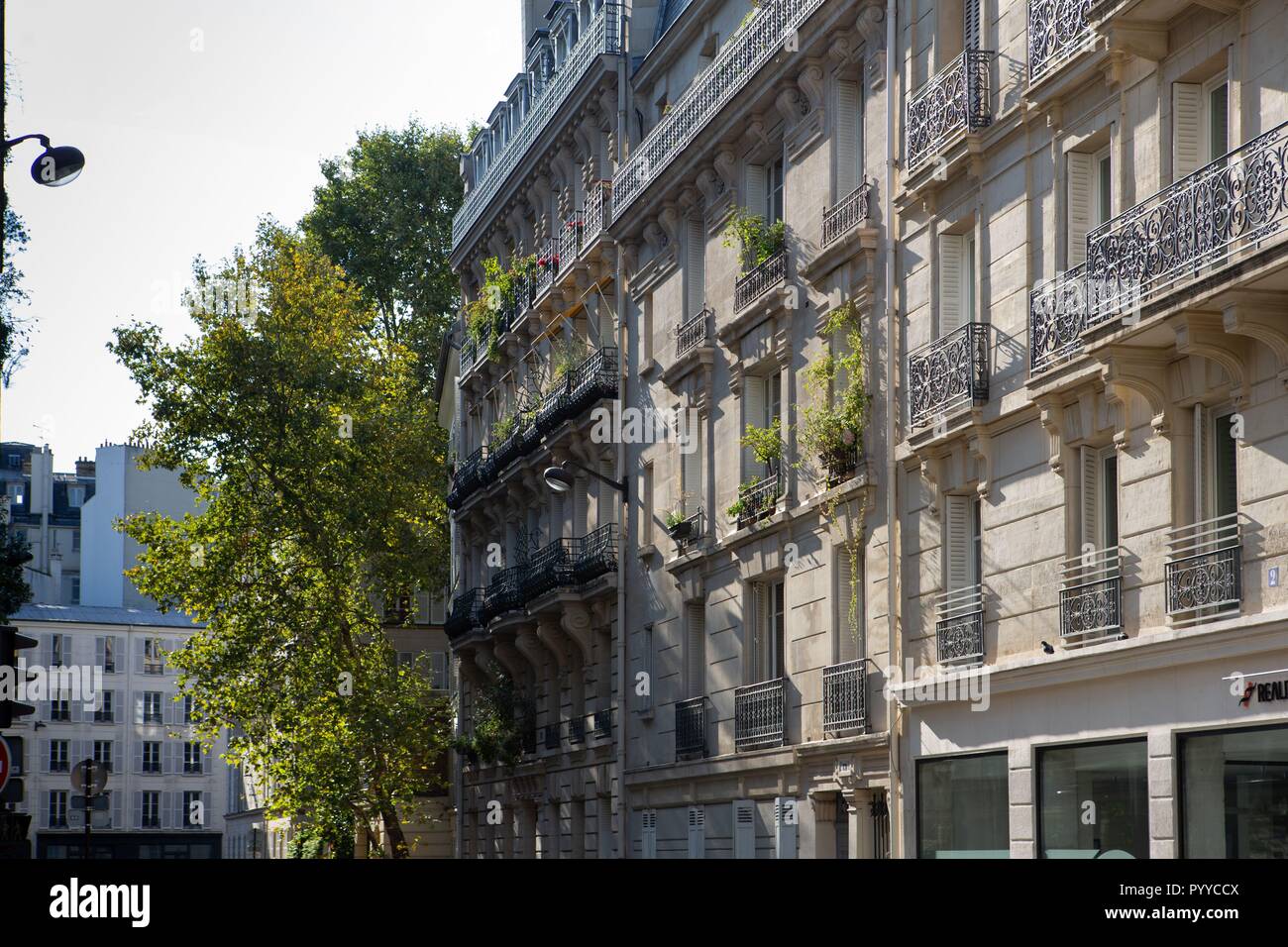 France, Ile de France, Paris 6ème arrondissement, Paris, succession de balcons post-haumanniens Banque D'Images