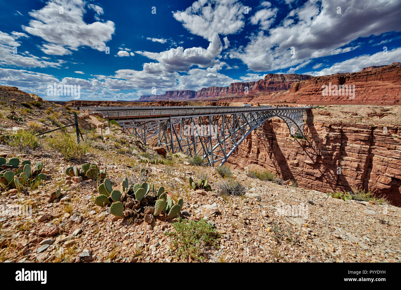 Pont Navajo, Marble Canyon et Vermillion Cliffs, Arizona, USA, Amérique du Nord Banque D'Images