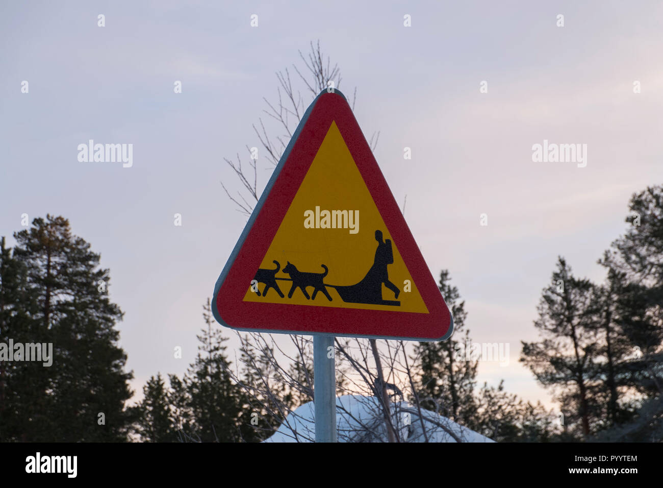 Panneau de passage à niveau en traîneaux à chiens près de Kiruna, Suède. L'hiver, soleil couchant. Banque D'Images