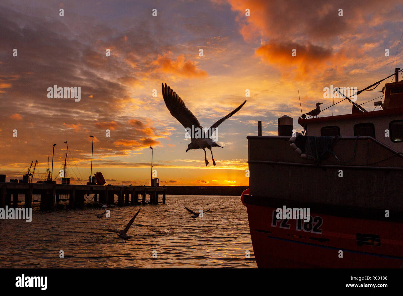 Newlyn, Cornwall, UK, 31 octobre 2018. Rouge magnifique ciel au-dessus du port de pêche de Newlyn ce matin. Crédit : Mike Newman/Alamy Live News. Banque D'Images