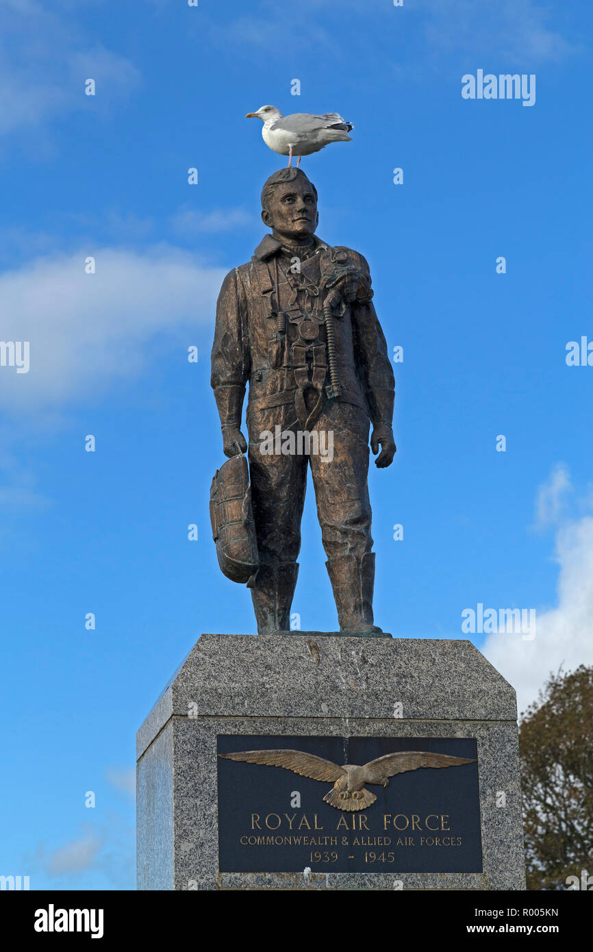Goéland argenté (Larus argentatus) sur Royal Airforce Memorial, Plymouth Hoe, Plymouth, Devon, Angleterre, Grande-Bretagne Banque D'Images