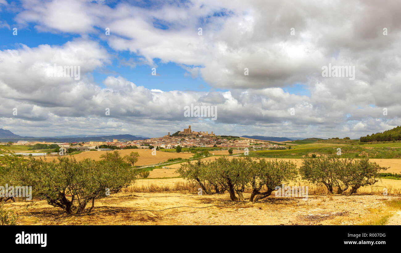Vue panoramique sur la campagne landcape espagnol avec des oliviers à l'avant et de la vieille ville Artajona en arrière-plan. Navarre, Espagne Banque D'Images