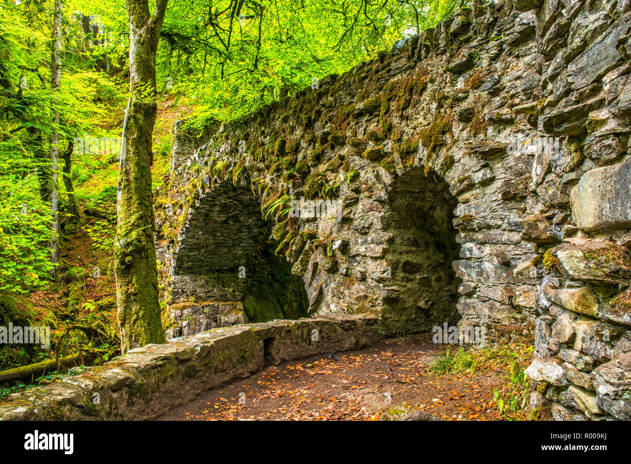 Pont de l'Ermitage à l'Hermitage woodland à Dunkeld, Perthshire, Écosse Banque D'Images