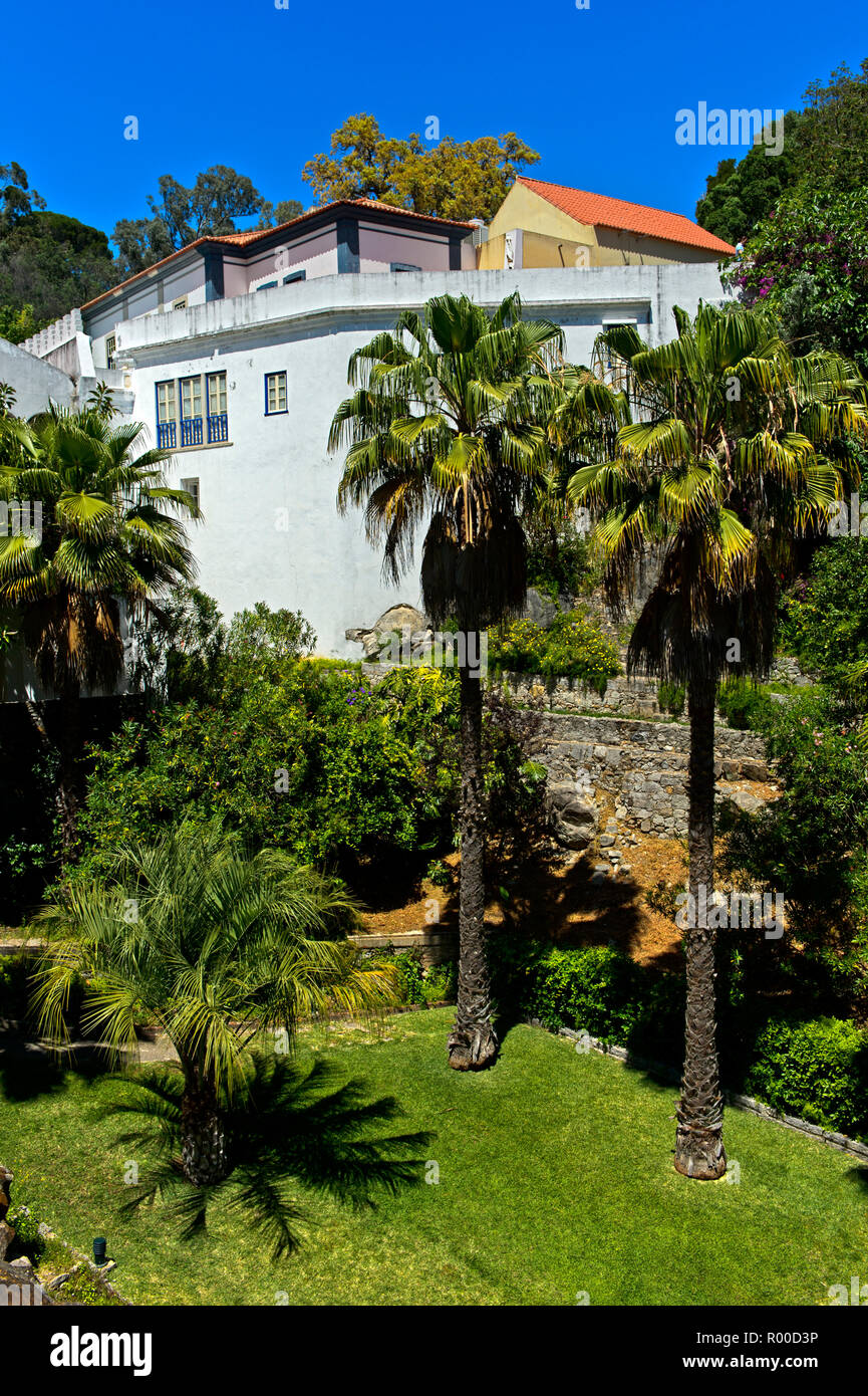 Jardin sub-tropical, Thermal spa Caldas de Monchique, Monchique, Algarve, Portugal Banque D'Images