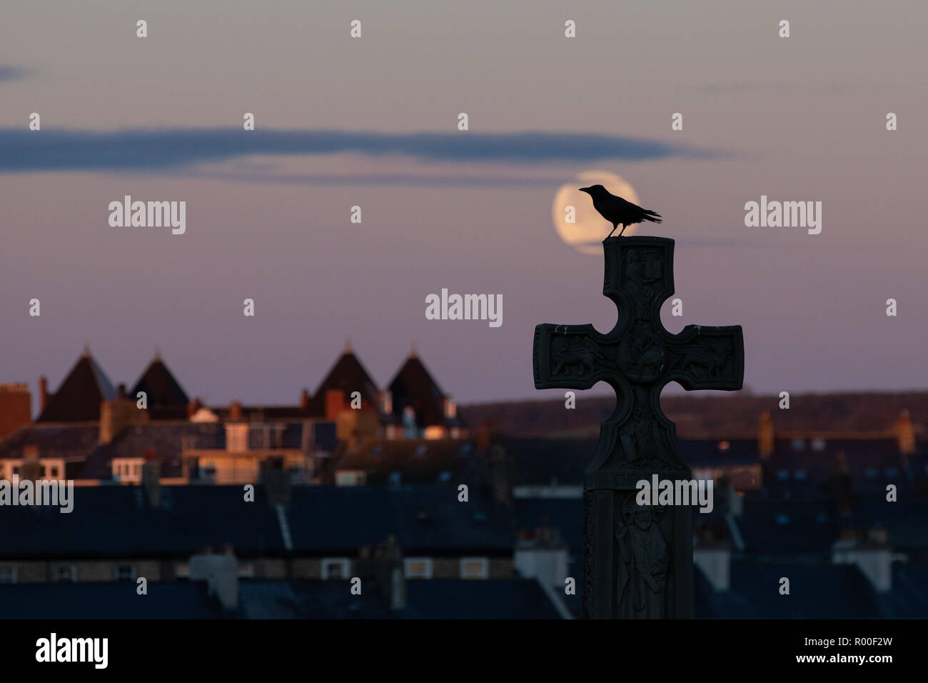 Whitby, Yorkshire, UK : 25 octobre 2018. La pleine lune se couche sur le cimetière comme un corbeau se trouve sur une croix sur Whitby Banque D'Images