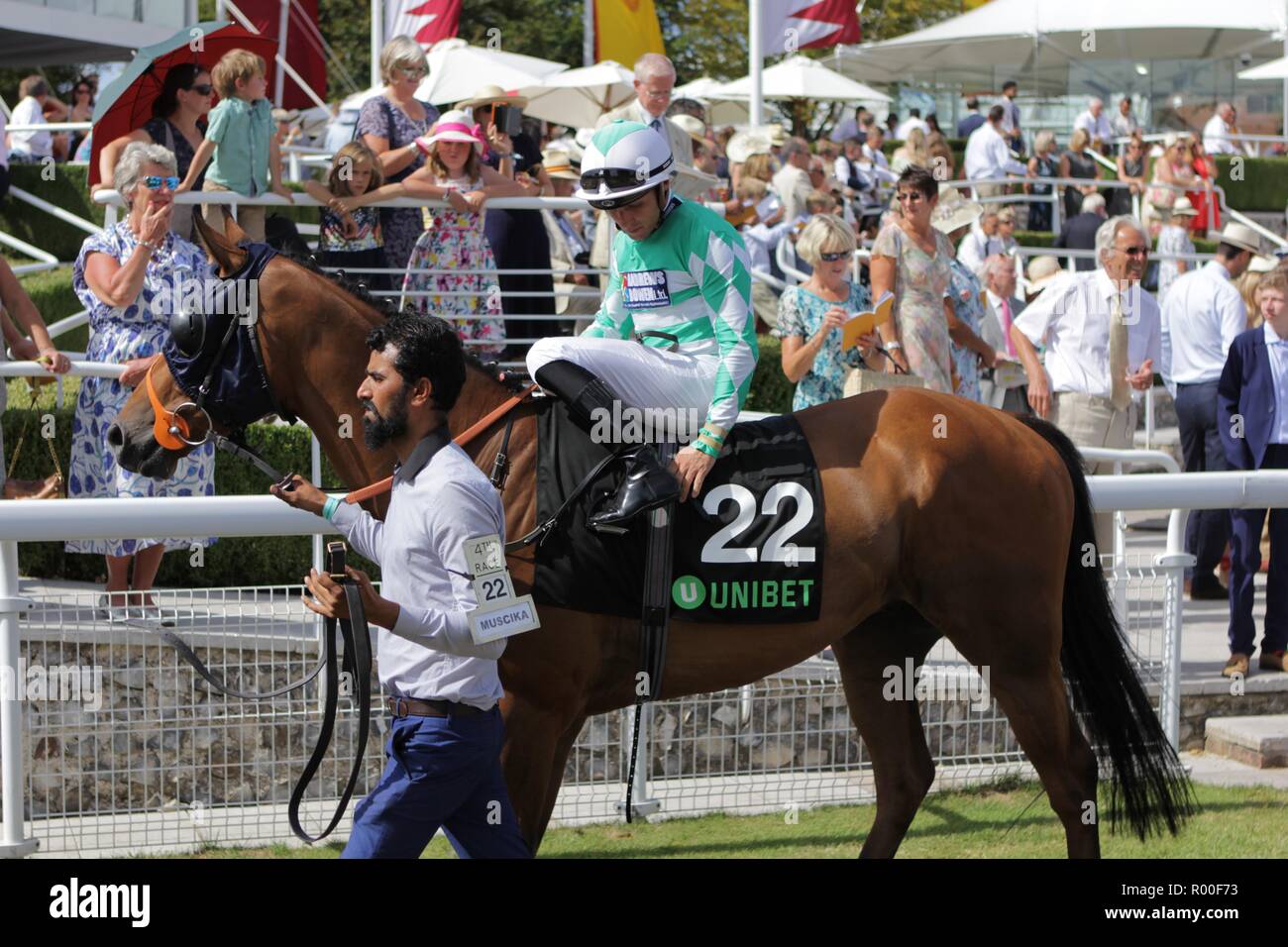 Avec Cheval et Jockey main stable Banque D'Images