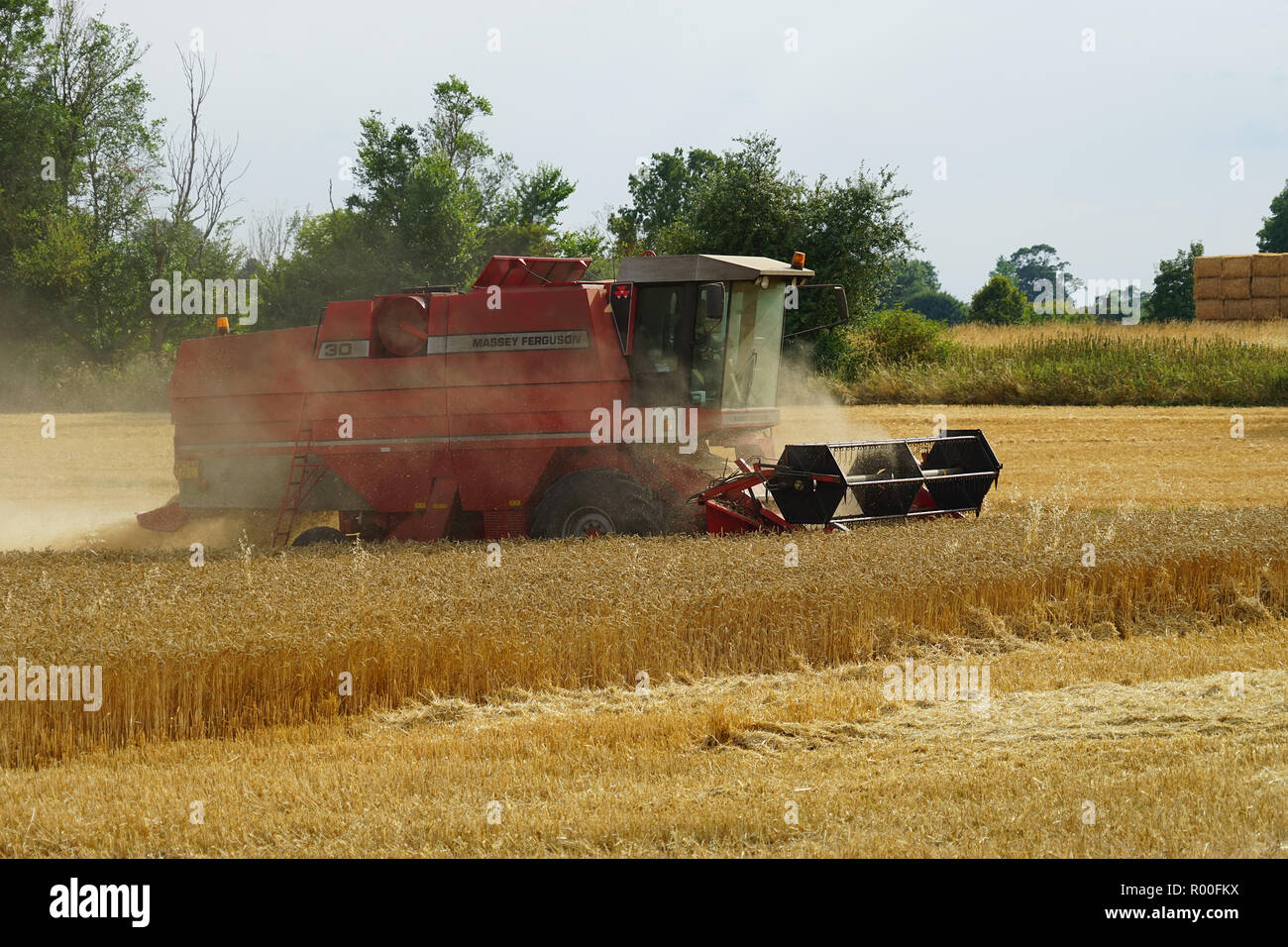 Moissonneuse-batteuse au travail près de Therfield Banque D'Images