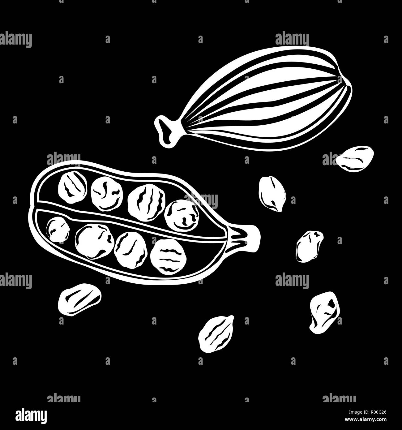 Logo isolés cardamome. icône silhouette blanche. Graines d'illustration vectorielle, la texture de la peau Illustration de Vecteur