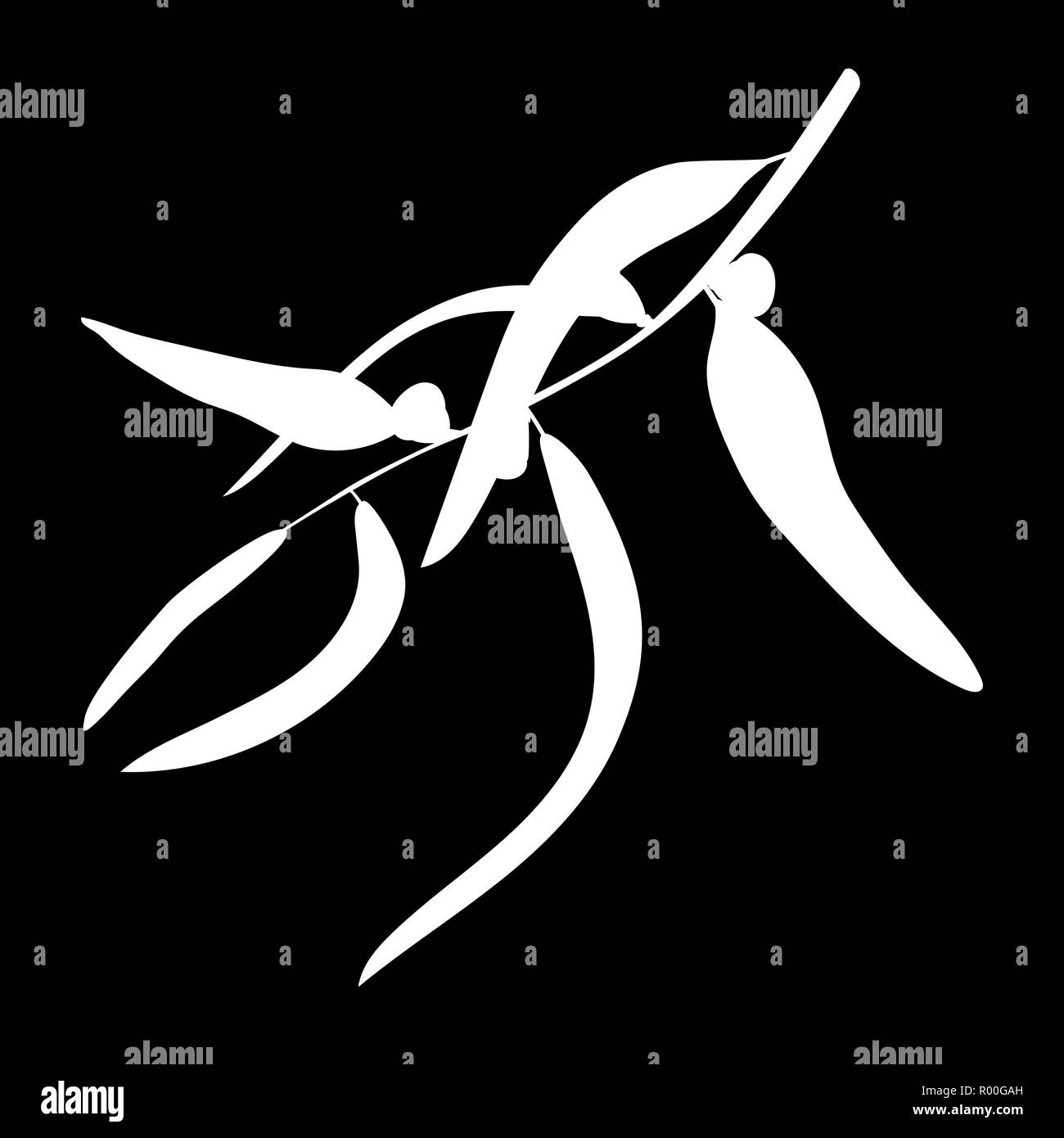 Branche d'eucalyptus et de feuilles isolées. icône logo silhouette blanche. Vector illustration Illustration de Vecteur