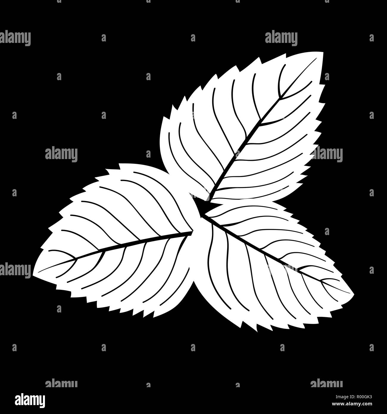 Feuilles de menthe fraîche sur un fond blanc. Ombre réaliste. logo isolés. icône silhouette blanche. Vector illustration. Pour l'industrie textile, de la décoration, l'emballage Illustration de Vecteur