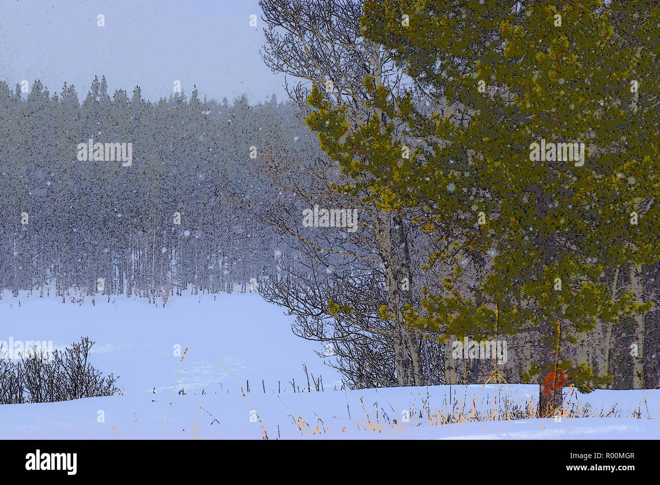 Des scènes d'hiver dans les montagnes Rocheuses de l'Alberta Banque D'Images