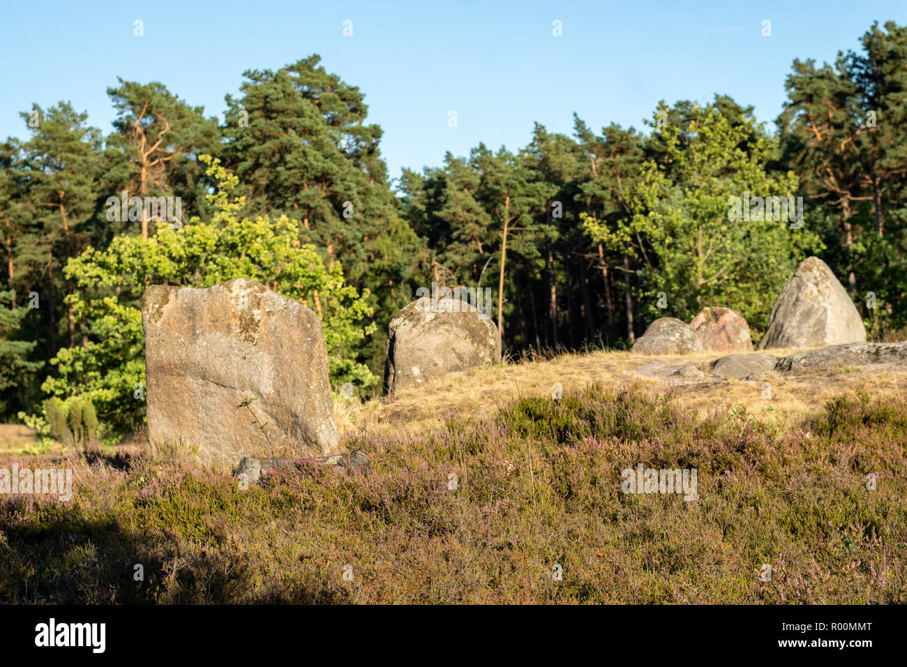Mégalithe pierres préhistoriques Oldendorfer Totenstatt Lüneburger Heide Banque D'Images