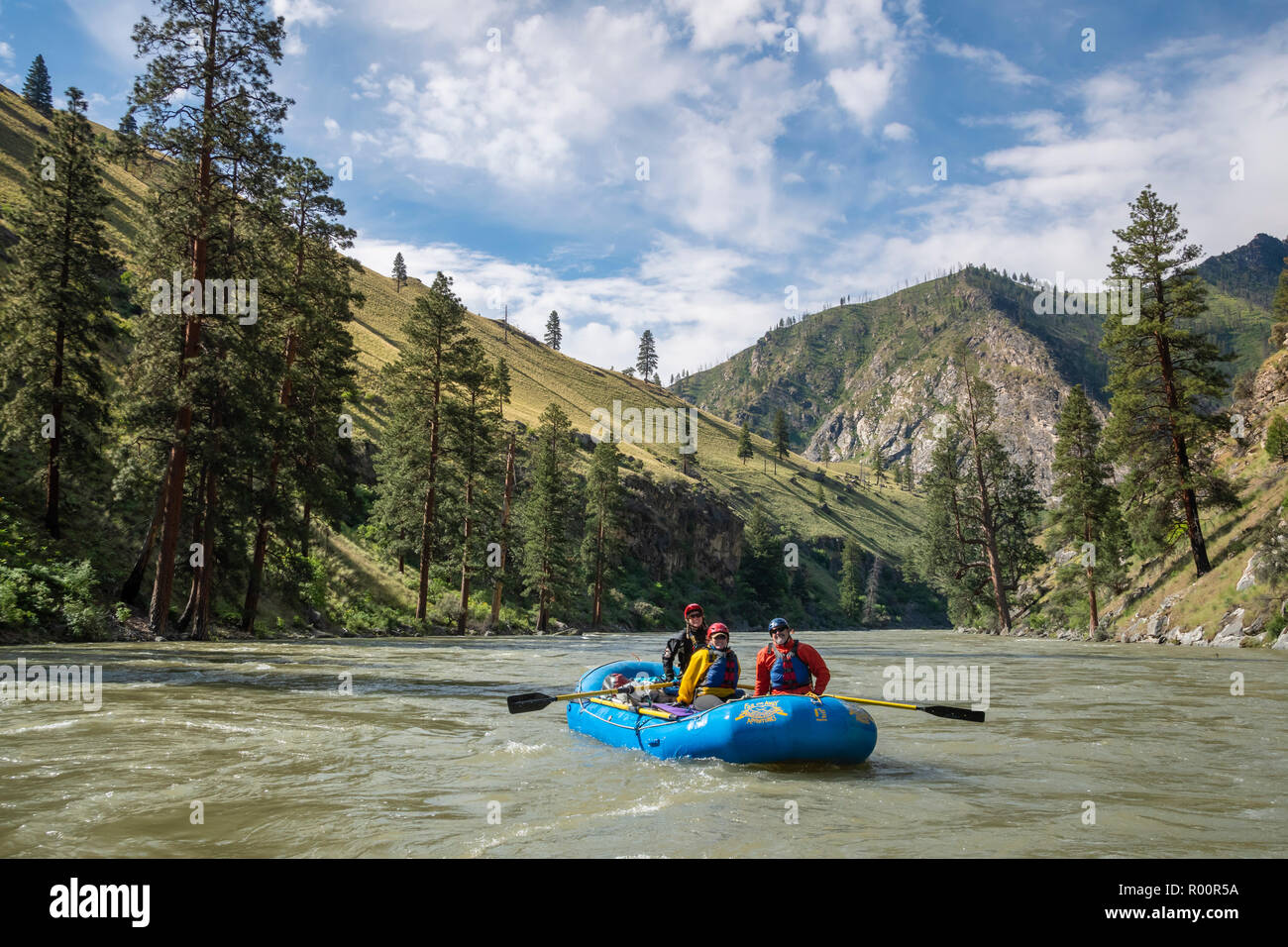 Middle Fork Salmon River, Idaho, rafting en eau vive, Far and Away Adventures, Wild and Scenic River, Frank Church River of No Return Wilderness, Salmo Banque D'Images