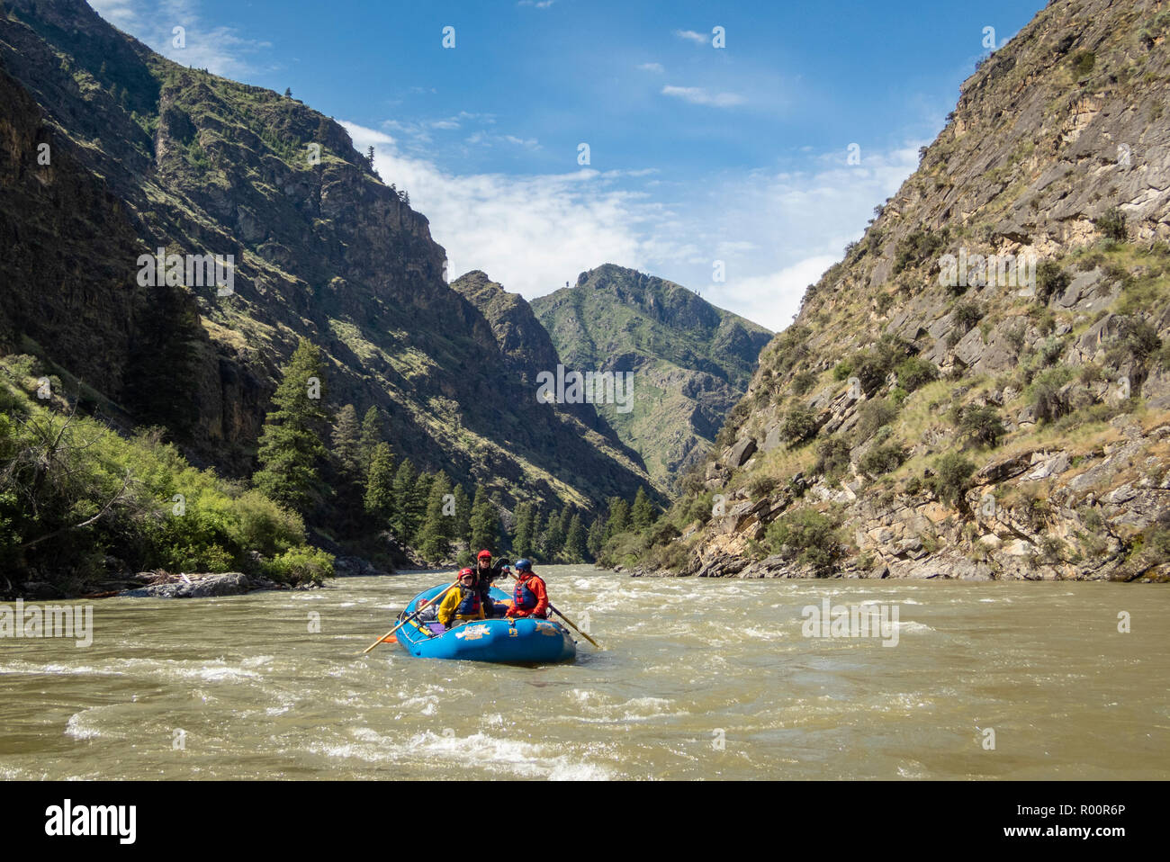 Middle Fork Salmon River, Idaho, rafting en eau vive, Far and Away Adventures, Wild and Scenic River, Frank Church River of No Return Wilderness, Salmo Banque D'Images