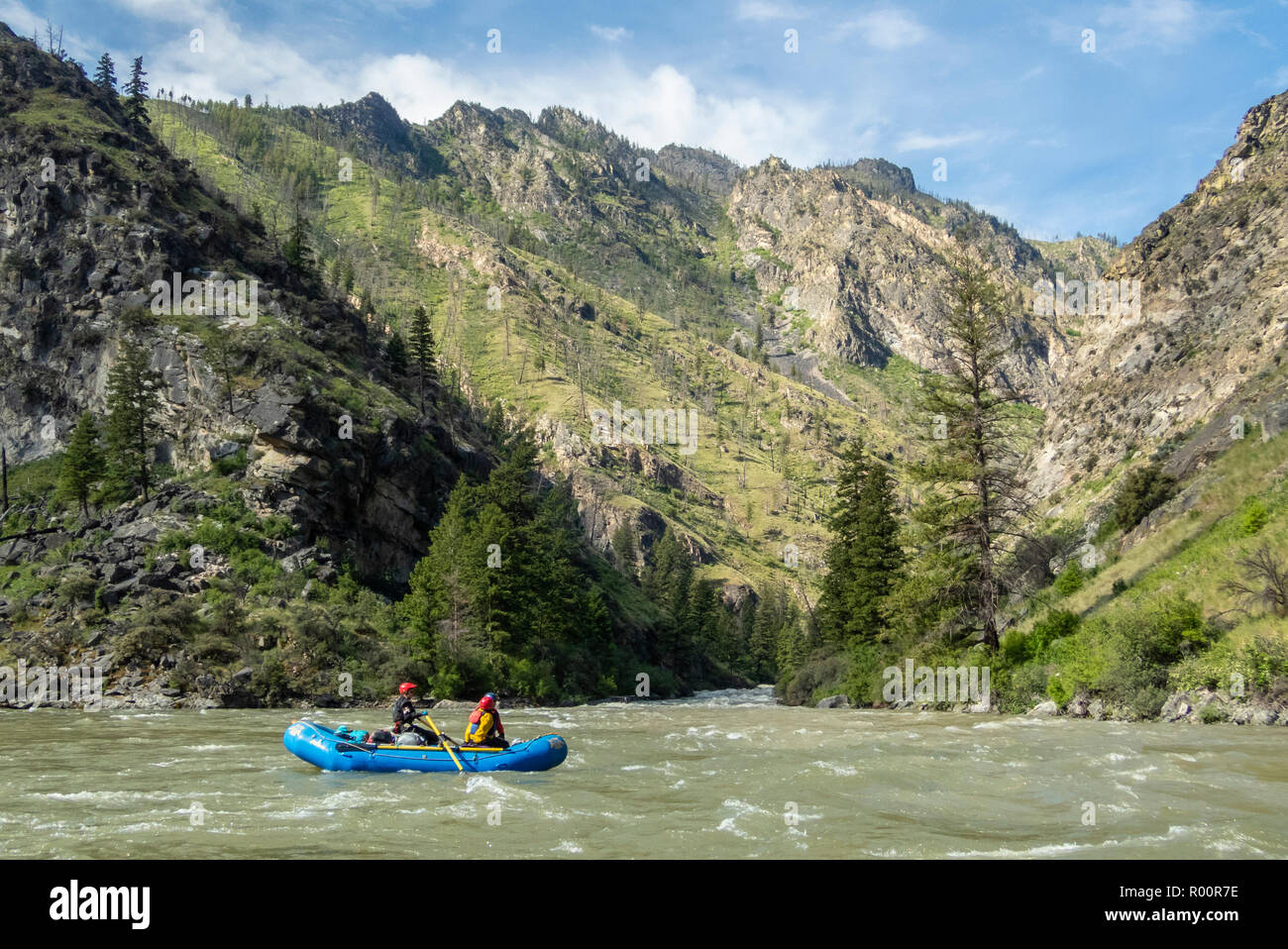 Middle Fork Salmon River, Idaho, rafting en eau vive, Far and Away Adventures, Wild and Scenic River, Frank Church River of No Return Wilderness, Salmo Banque D'Images