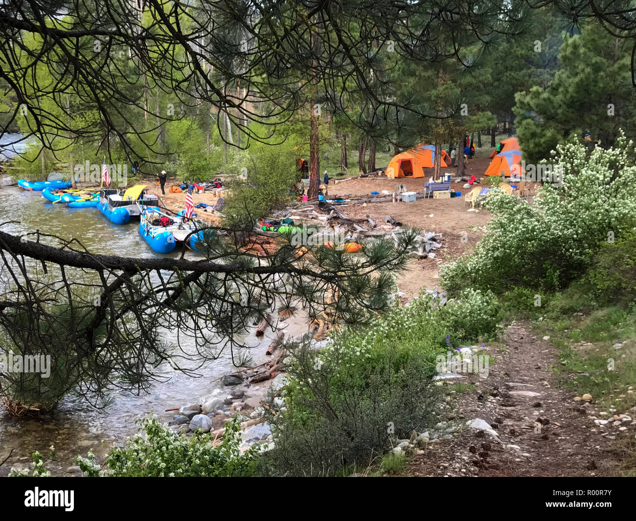 Campez sur la rivière Middle Fork Salmon, Idaho, avec Outfitter Far and Away Adventures. Banque D'Images