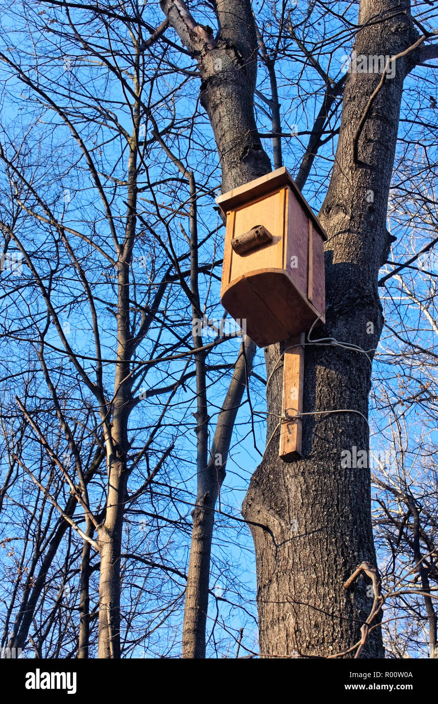 Maison d'oiseau accroché sur le tronc d'un arbre. Début de l'hiver Banque D'Images