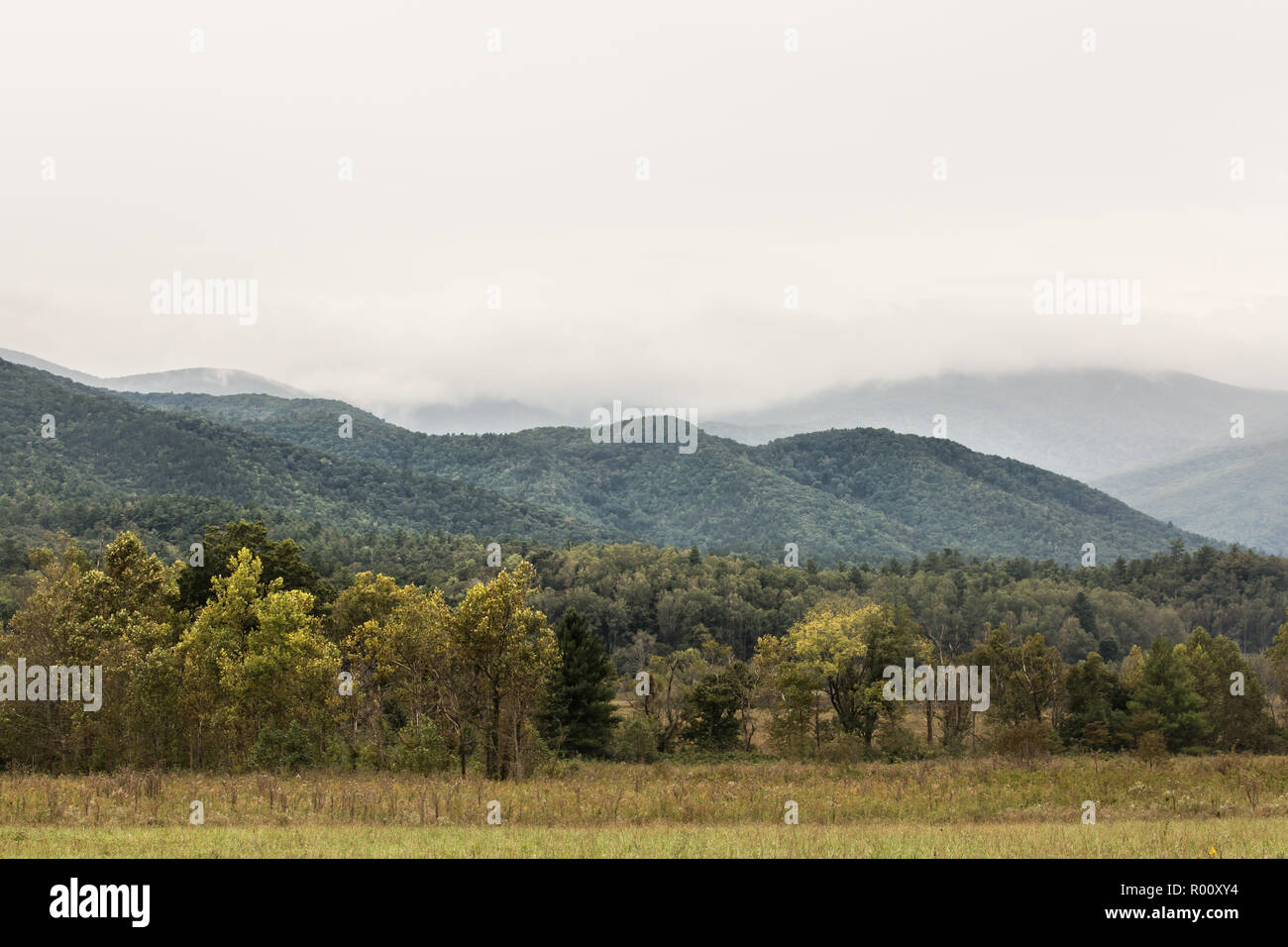 Foggy Blue Ridge Mountains avec brume. Banque D'Images