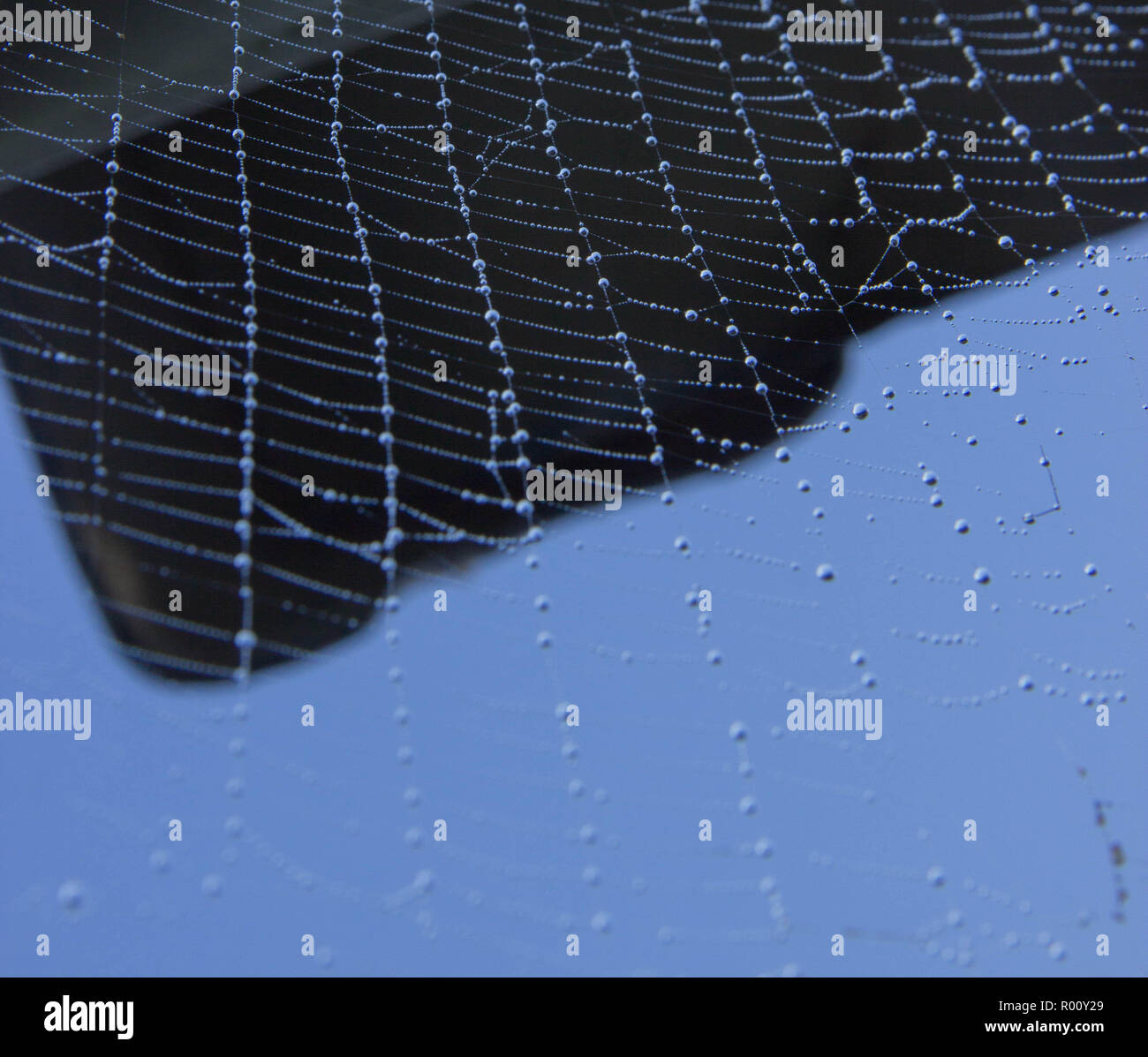 La pluie qui tombe du toit Banque D'Images