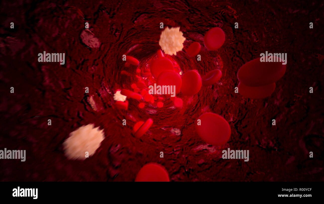 Les lymphocytes et les cellules rouges du sang circulant dans les vaisseaux sanguins. La science médicale et de la recherche, de la santé Concept Banque D'Images