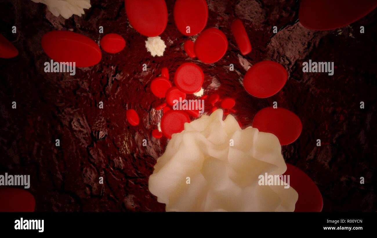 Les lymphocytes et les cellules rouges du sang circulant dans les vaisseaux sanguins. La science médicale et de la recherche, de la santé Concept Banque D'Images