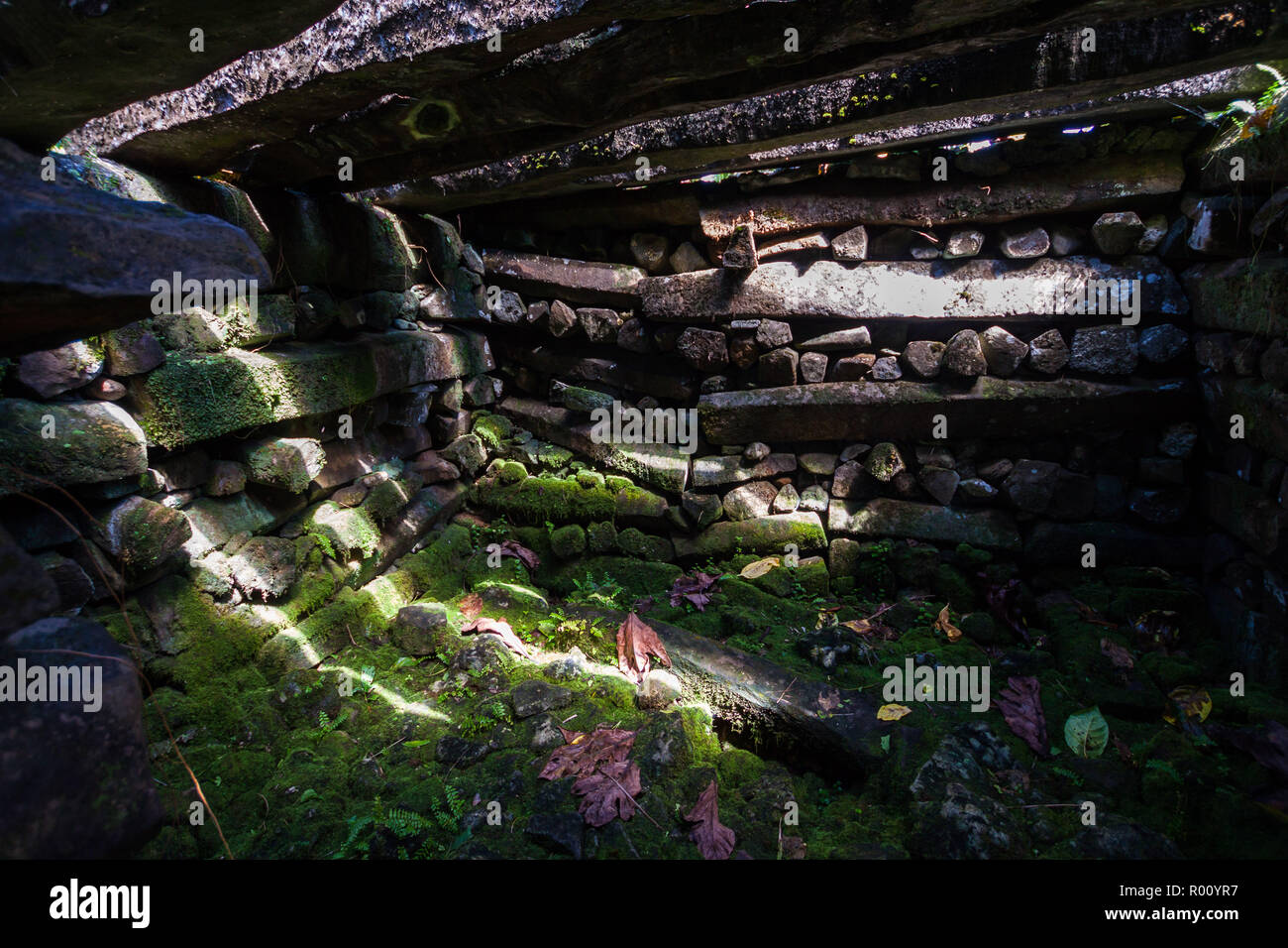 Mausolée à l'intérieur des murs de Saudeleur Nan Madol, faits de grandes dalles de basalte, envahie par les ruines dans la jungle, Pohnpei, Micronésie, Océanie Banque D'Images