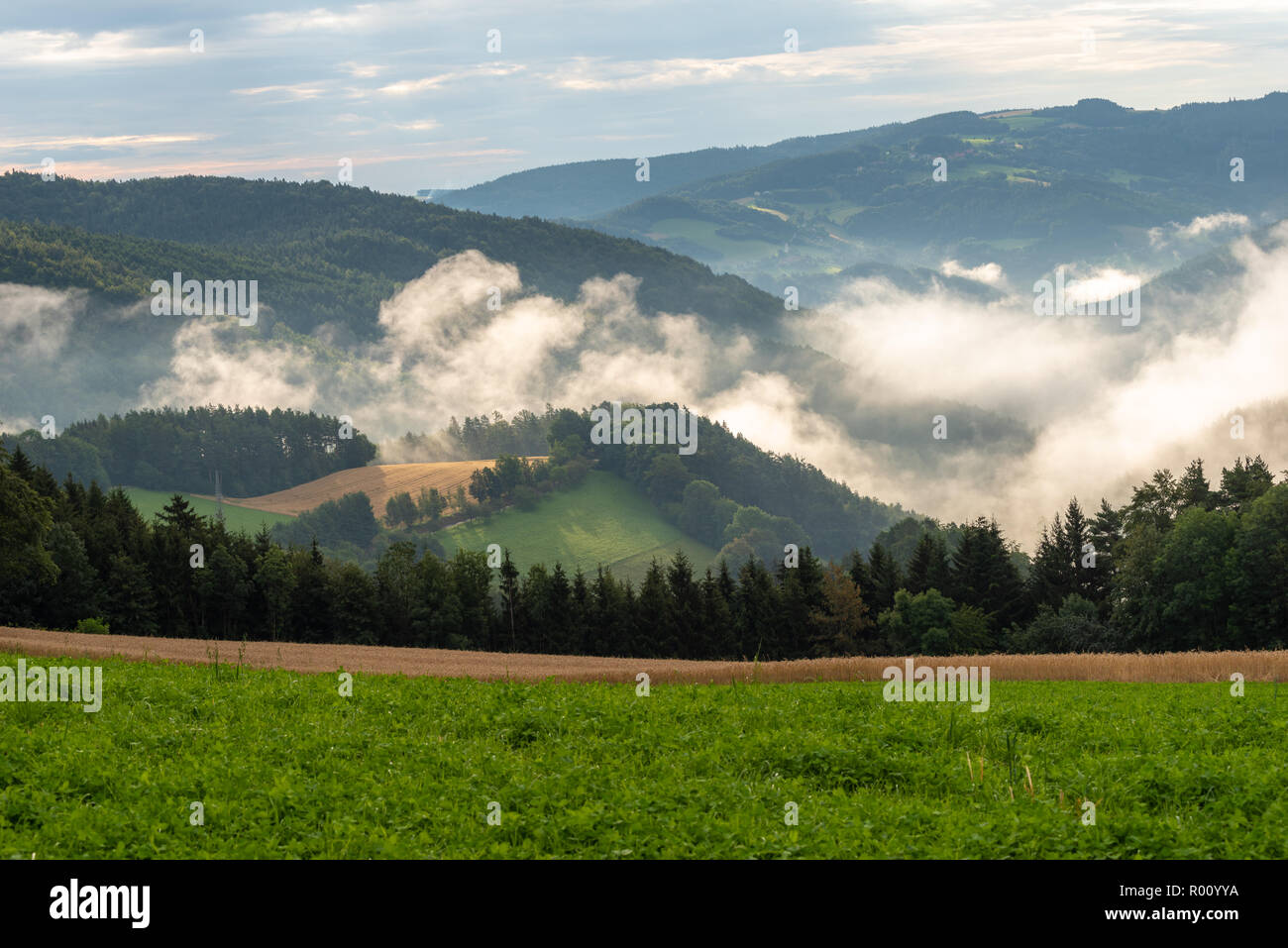 Foggy Rural Couleur Paysage Panoramique D Ete Libre De Droit D Une Campagne Idyllique De Terres Agricoles Avec Des Nuages Dans Le Ciel Et Une Descente Sur Les Champs Forest Photo Stock Alamy