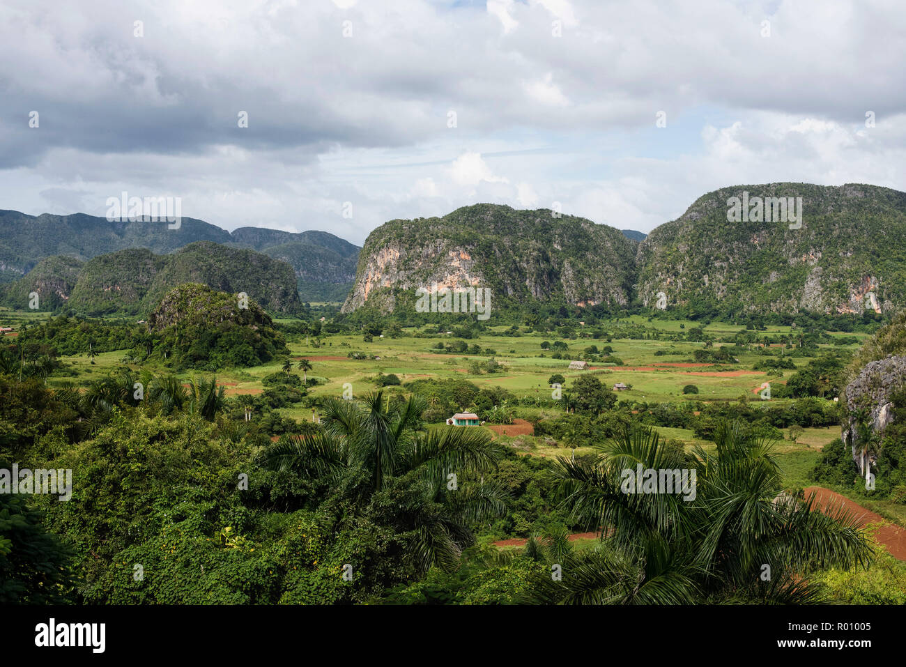 Vues des mogotes et la Vallée de Viñales à Cuba. Banque D'Images