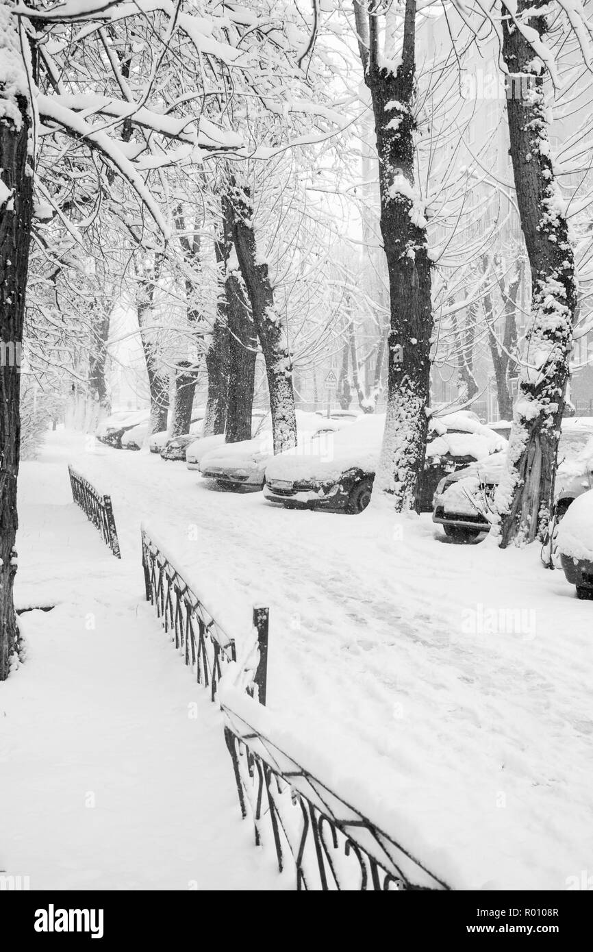 Chemin urbain couvert de neige, des arbres et des voitures. Photo en noir et blanc. Banque D'Images