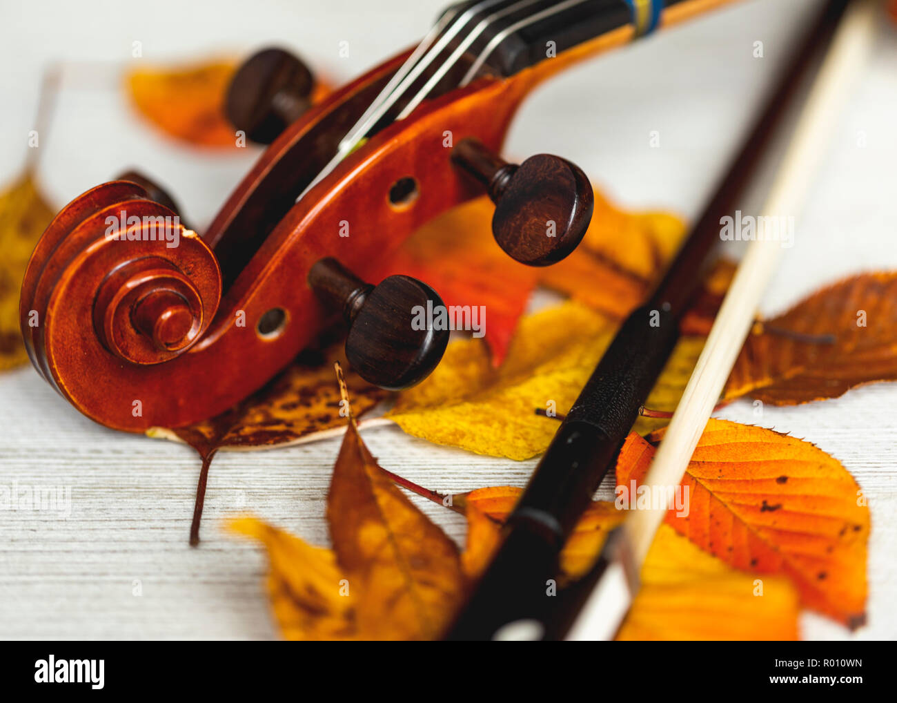 Un violon et l'arc avec des feuilles colorées Banque D'Images