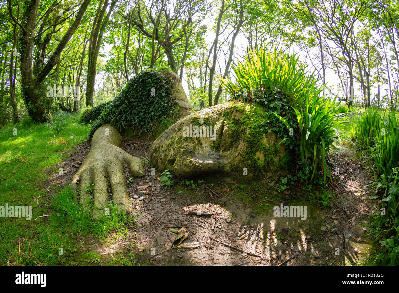 La boue de l'usine de ménage et rock sculpture aux Jardins perdus de Heligan, Cornwall, Angleterre. Banque D'Images