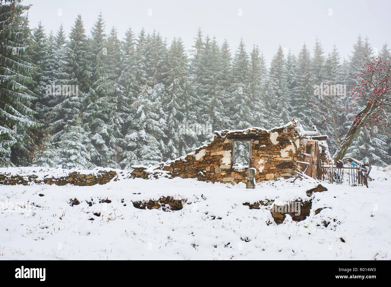 Old abandoned démoli maison couverte de neige en hiver Banque D'Images