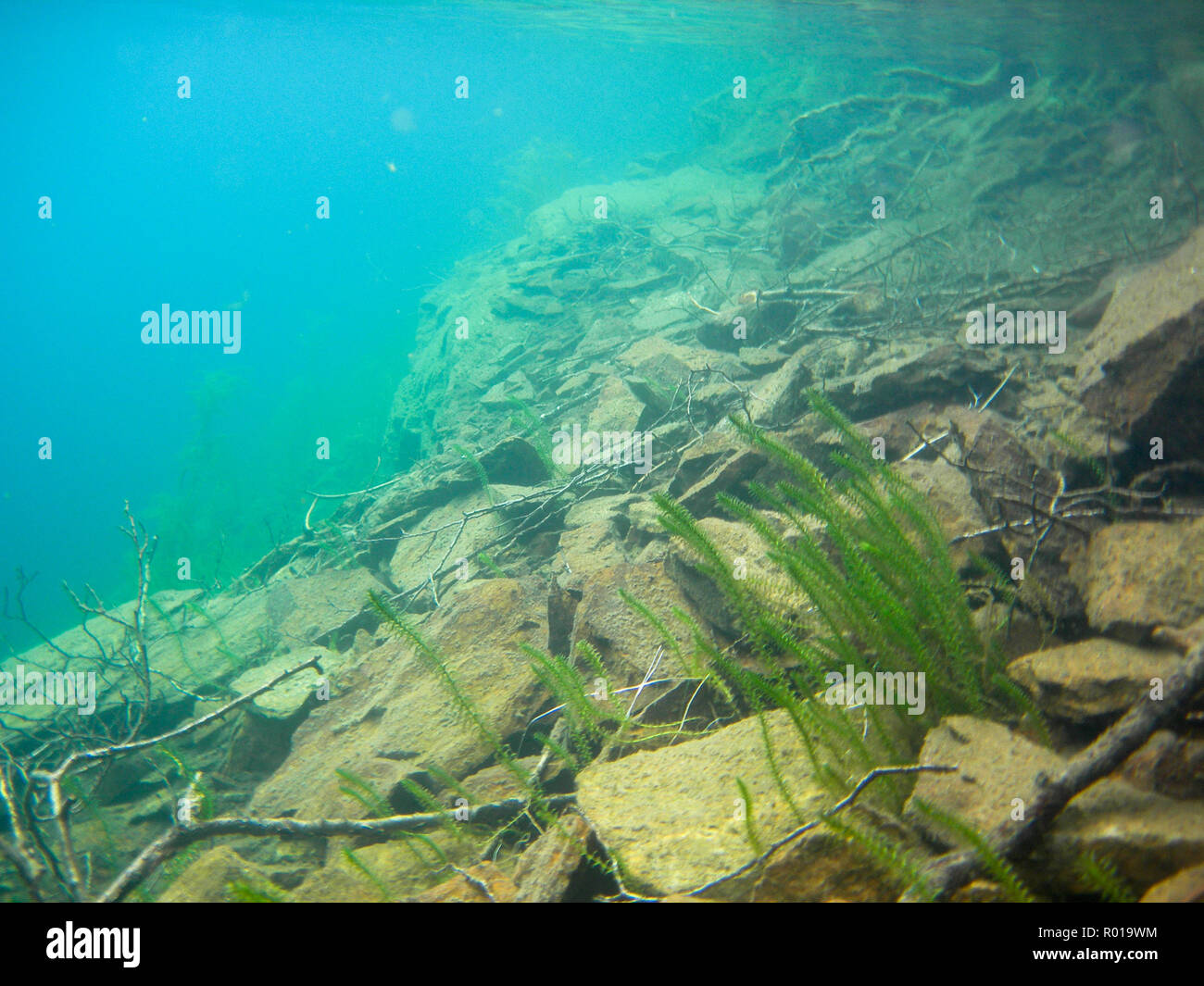 Fond d'Lutvann lake à Oslo, Norvège. Banque D'Images