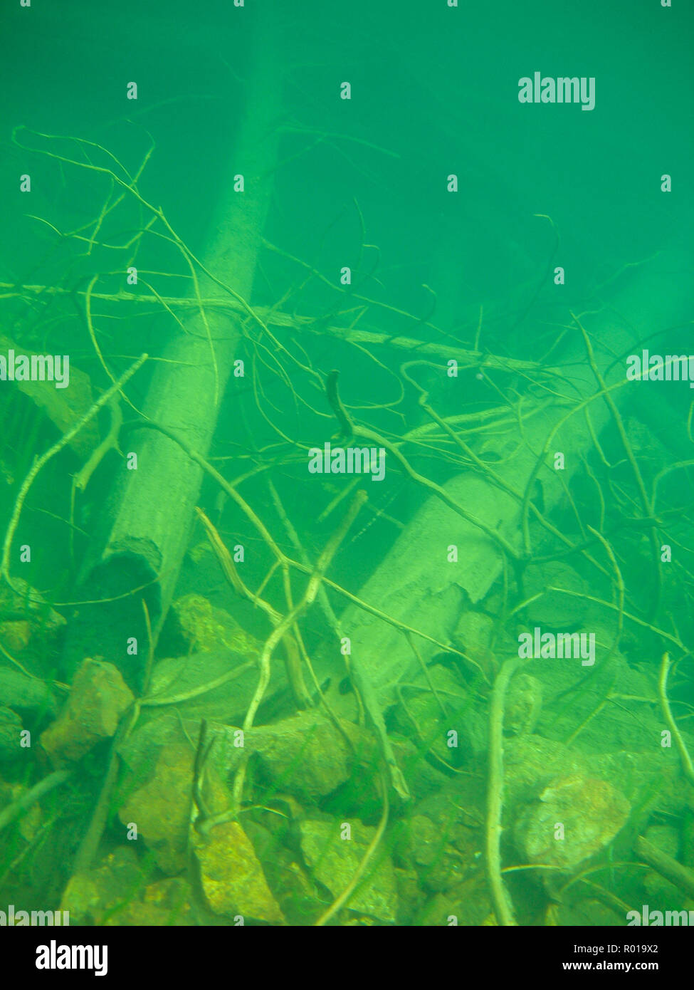 Fond d'Lutvann lake à Oslo, Norvège. Banque D'Images