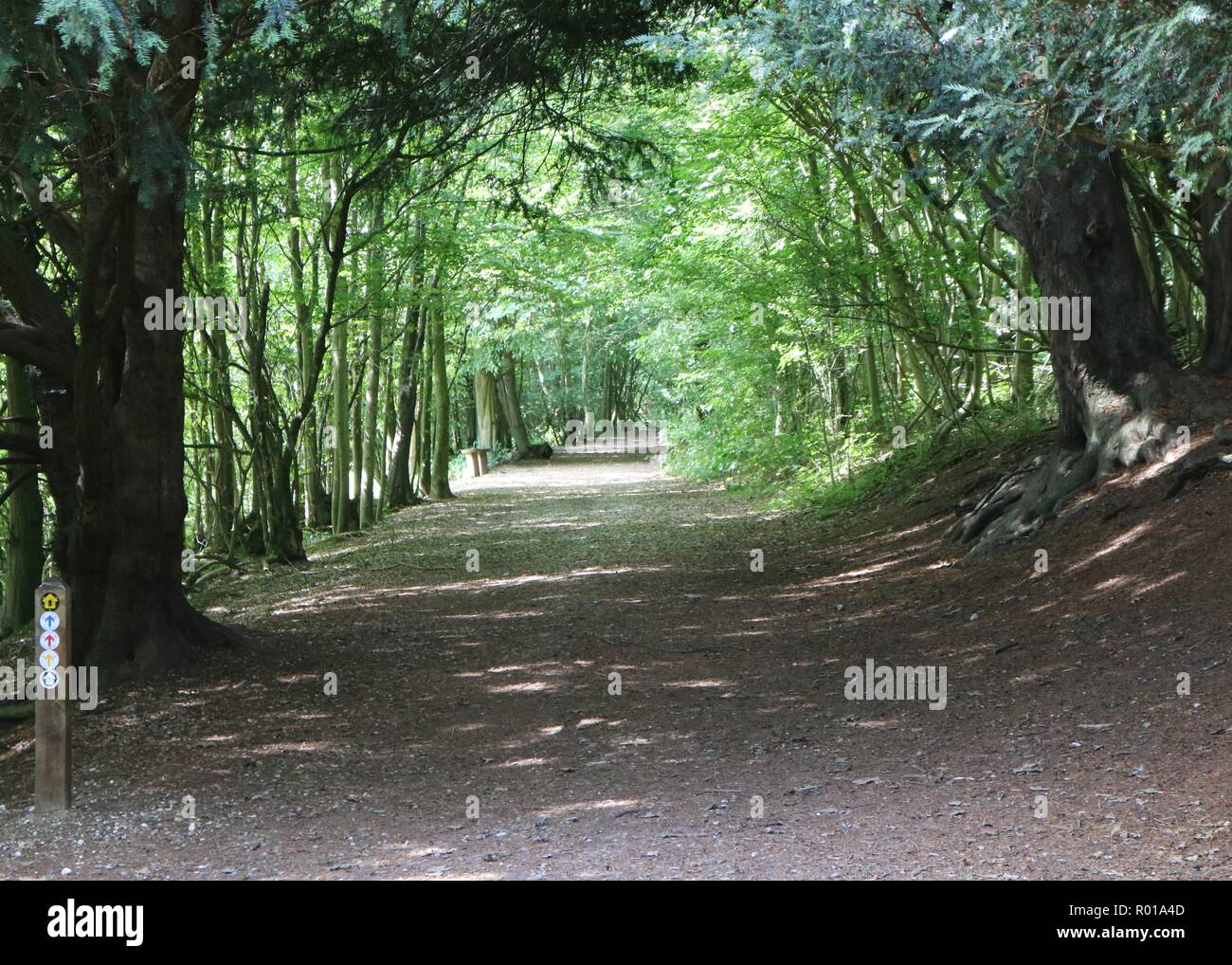 Parc Trosley, Kent Banque D'Images