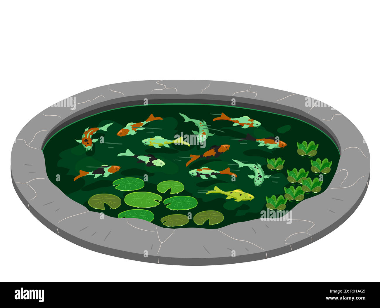 Illustration d'un étang rempli de nénuphars et de Koi à l'intérieur Banque D'Images
