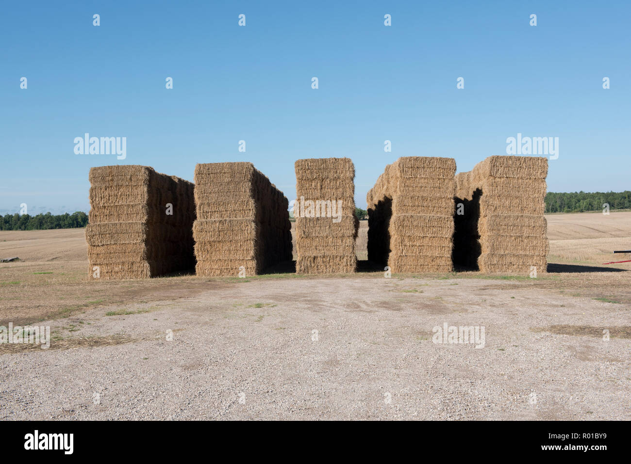 La récolte de foin de l'été dans le sud de l'Ontario. Les balles de foin carrés superposés attendent d'être prises pour la ferme. Banque D'Images