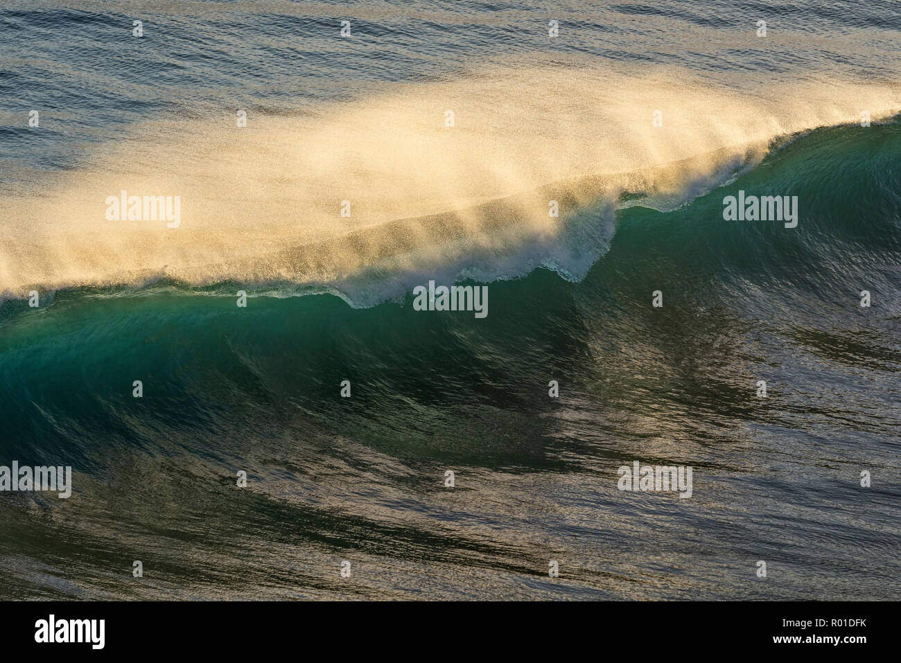 Vagues dans la baie de Pololu ; North Kohala, Grande Île d'Hawaï. Banque D'Images