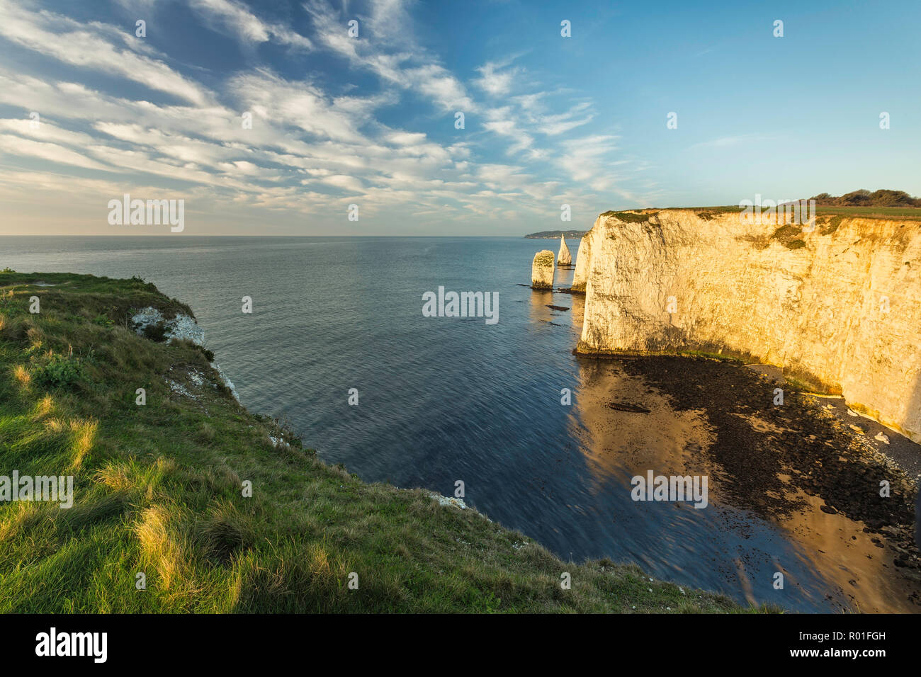 Les pinacles de Ballard vers le bas, à l'île de Purbeck, Dorset, Angleterre Banque D'Images