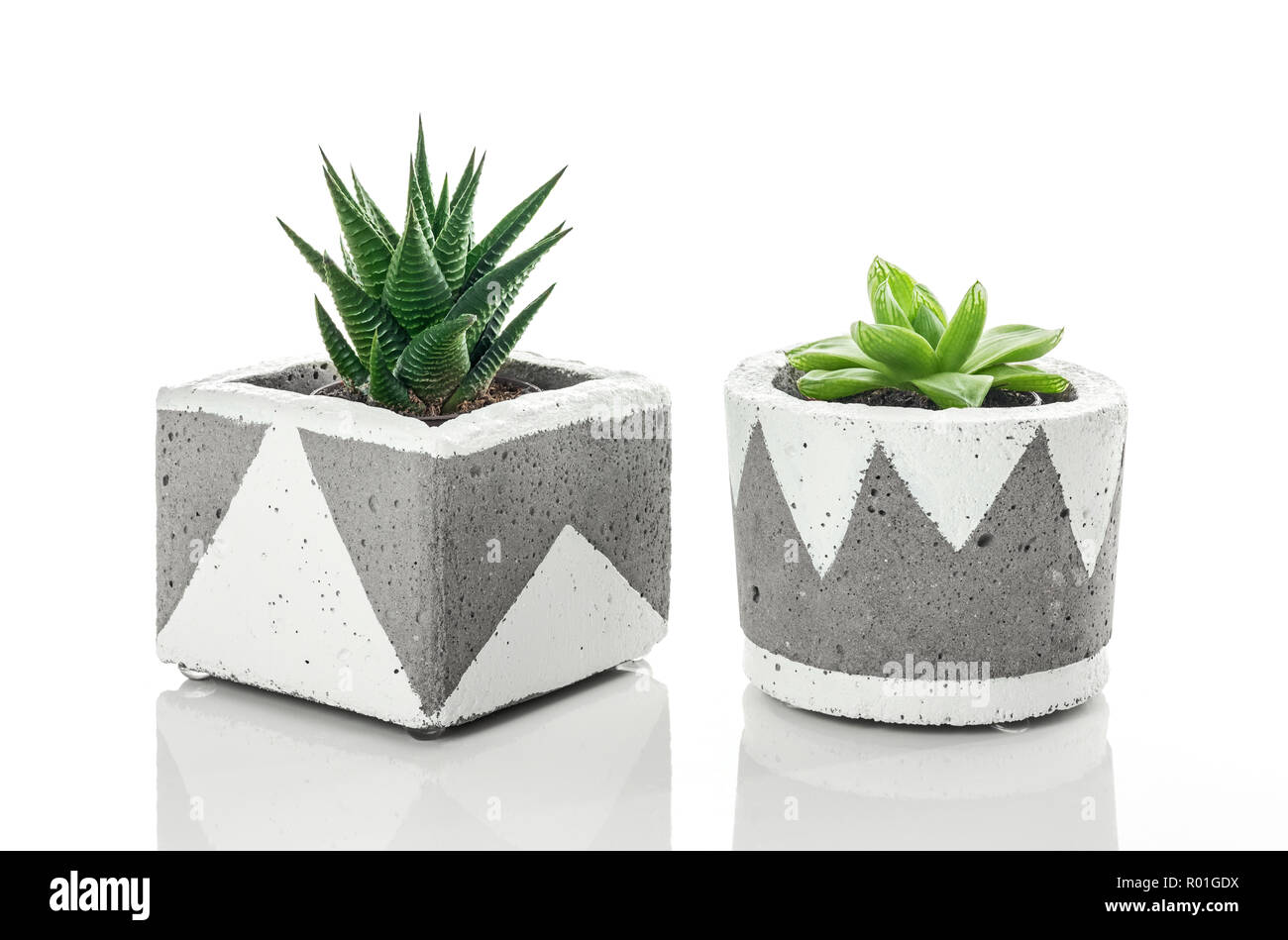 Deux plantes succulentes en béton fait main semoirs avec ornement blanc, isolé sur fond blanc. Banque D'Images