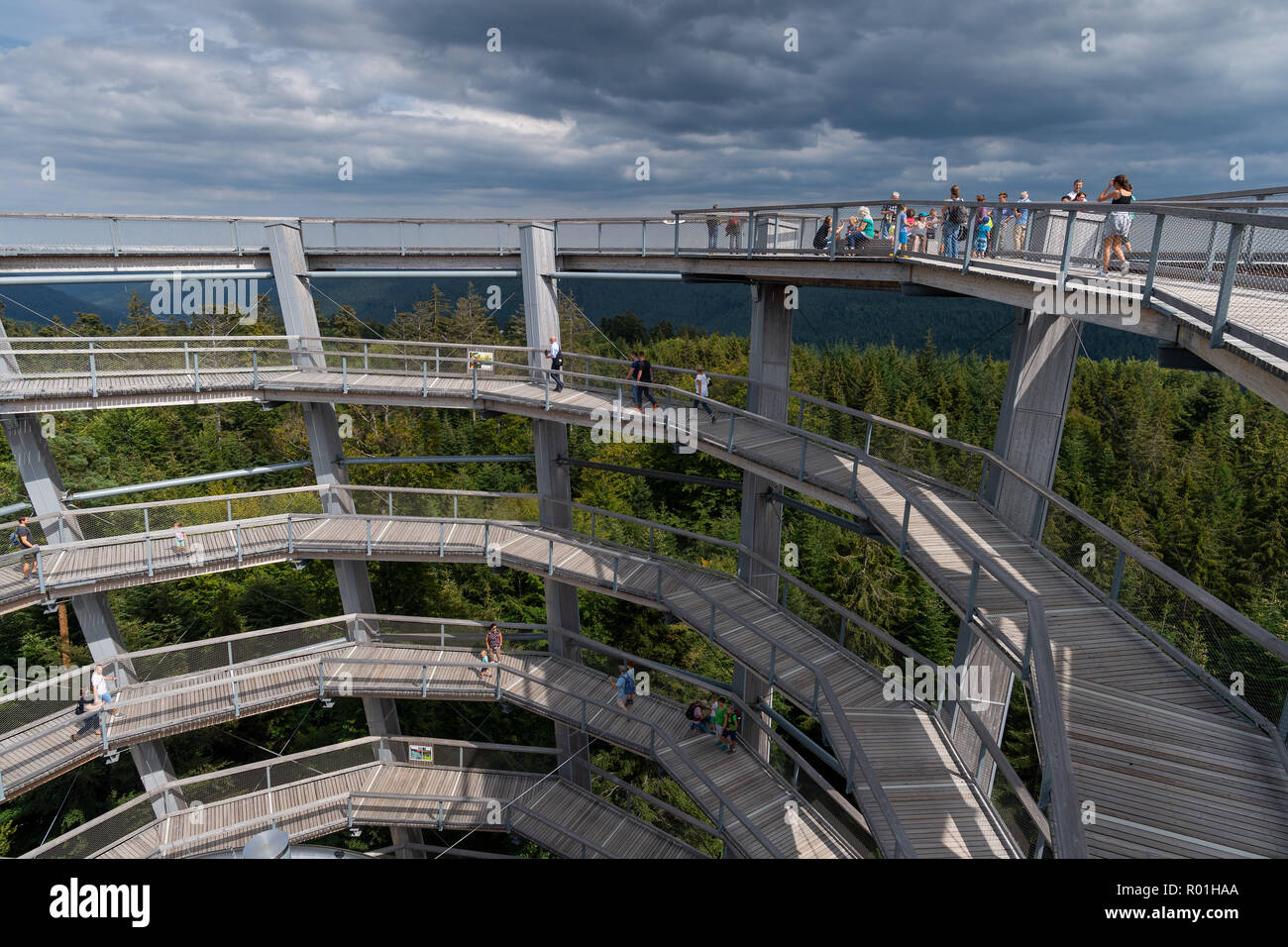 Accrobranche sur le mont Sommerberg, Bad Wildbad, Forêt-Noire, Bade-Wurtemberg, Allemagne Banque D'Images